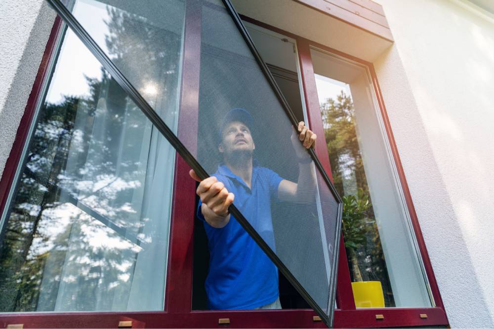 bug Screen hanging a bug screen